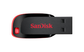 Sandisk Cruzer blade 2 GB ( USB 2.0 Flash Drive)