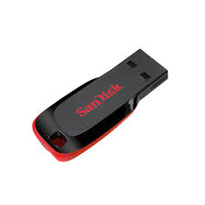 Sandisk Cruzer blade 4 GB ( USB 2.0 Flash Drive )